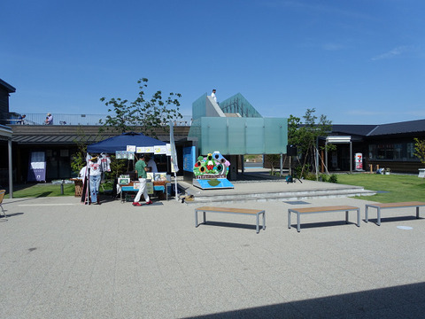R10566