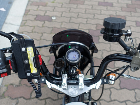 R11031