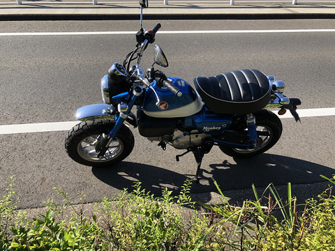 R11997