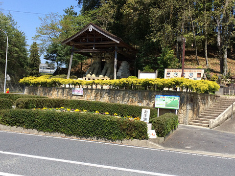 R03004