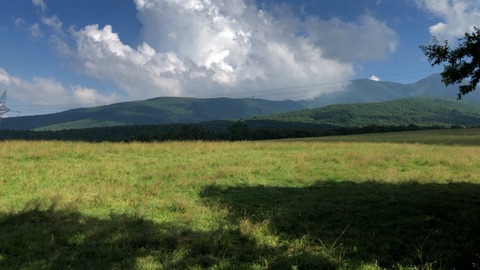 IMG_3935