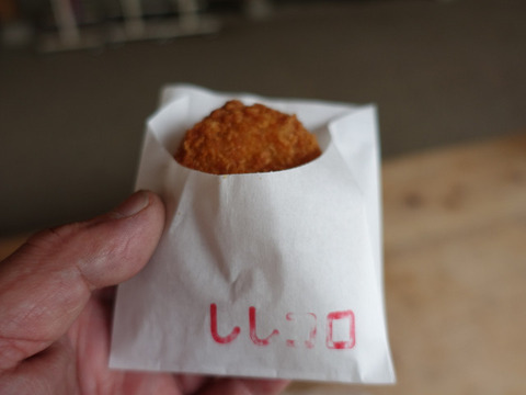 R11112
