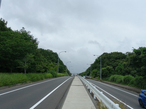 R11060