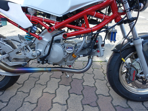 R11008