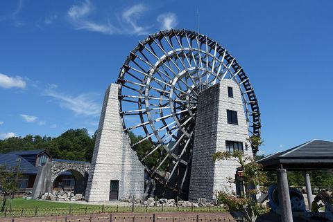 R11656
