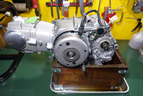 R13005