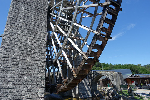 R11664