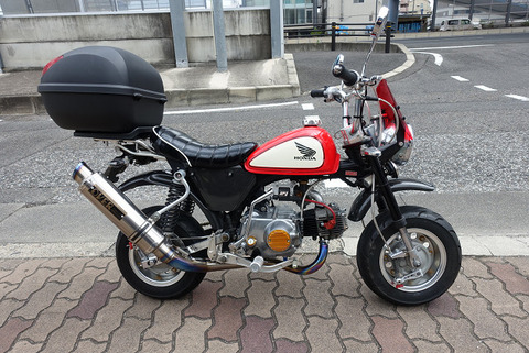 R15262