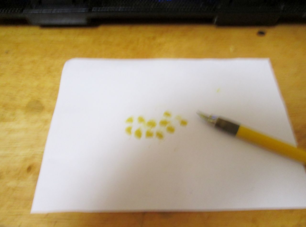 我が家の愉快な住人達