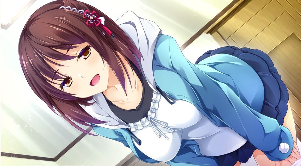 ゲーム「お嬢様は素直になれない」体験版感想 我が家の別荘()