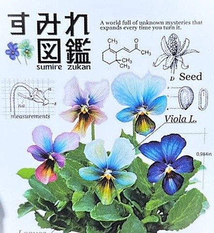 M*☆様 すみれ図鑑 ビオラ濃い緑 もらったすみれ図鑑 ＆ 昨日買っ