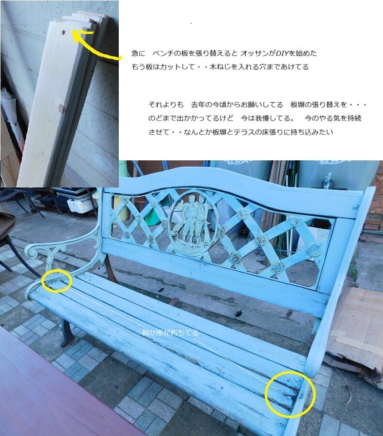 似てる絞りの花 椅子のDIY : ブルーガーデンと花育て