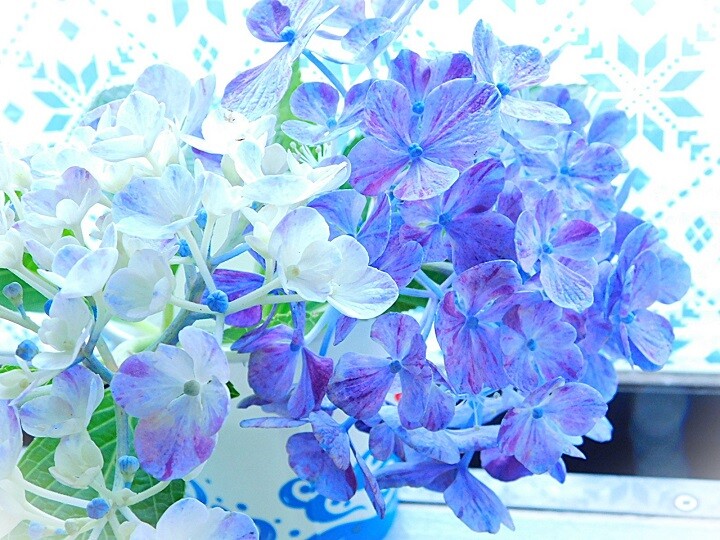 ＊三日月ともこもこ紫陽花＊シーグラスアート 梅雨 三日月ともこもこ紫陽花＊シーグラスアート 梅雨 三日月と
