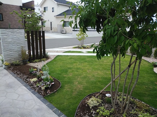 ��ƣ��_���ء���