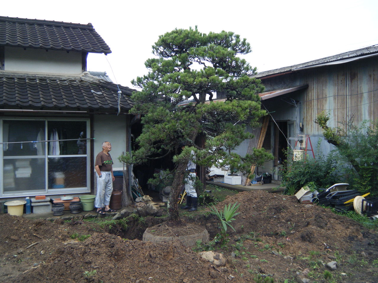 樹齢50年松の木 大移動 T様邸 外周工事 番外編 ガーデングローブ 株 ブログ 樹齢50年松の木 大移動 T様邸 外周工事 番外編 ガーデングローブ 株 ブログ