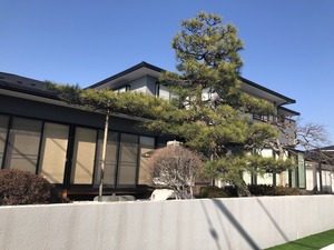 IMG_3848