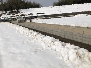 IMG_6686