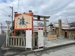 IMG_8619