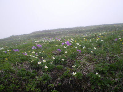 平標山