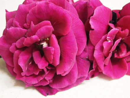 薔薇ジャムの作り方