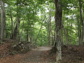 社山とイタリア大使館別荘記念公園