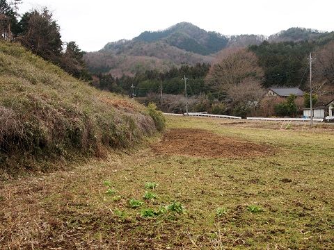 イメージ 1