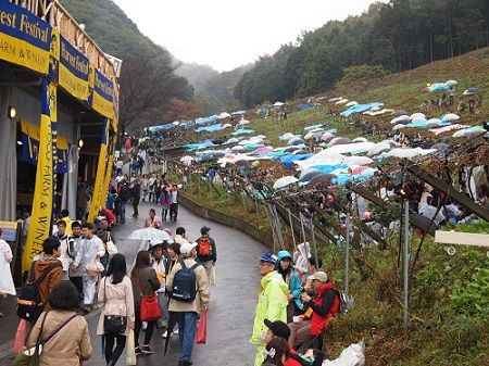 2015年ココワイナリーファーム収穫祭