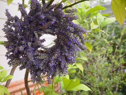 P1012404