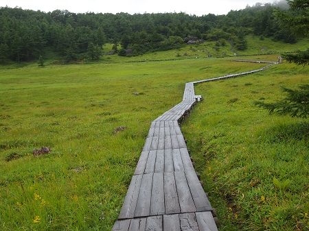 池の平湿原は秋の風