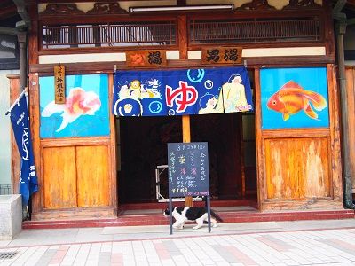 イメージ 6
