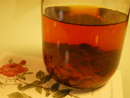 ローズヒップRosa caninaの美容酒