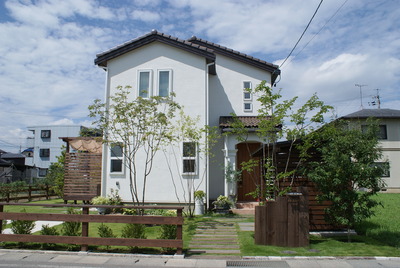 DSC06329