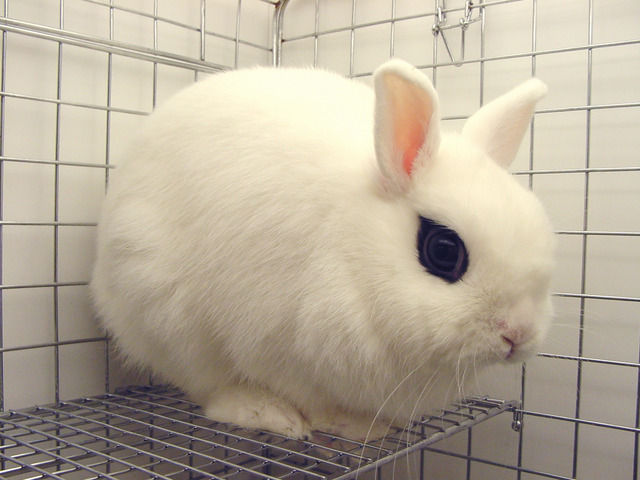 新スタッフ入社 ほぼガーデンファクトリーしゃちょうのブログ