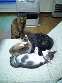2012073110