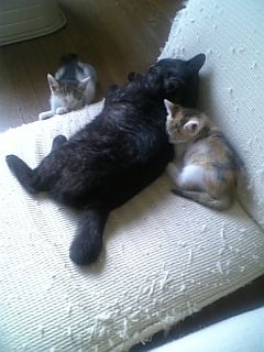2012073107
