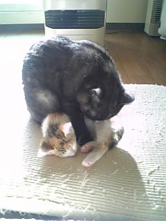 2012073105
