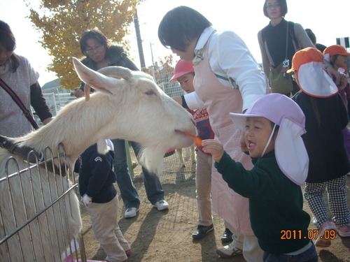 よしかわ20111130 01-thumb-620xauto