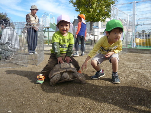 吉川2012111402-thumb-620xauto