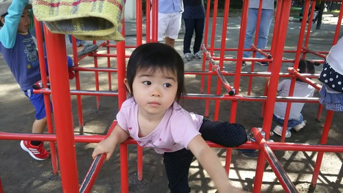 [画像:aaa53813-s.jpg]