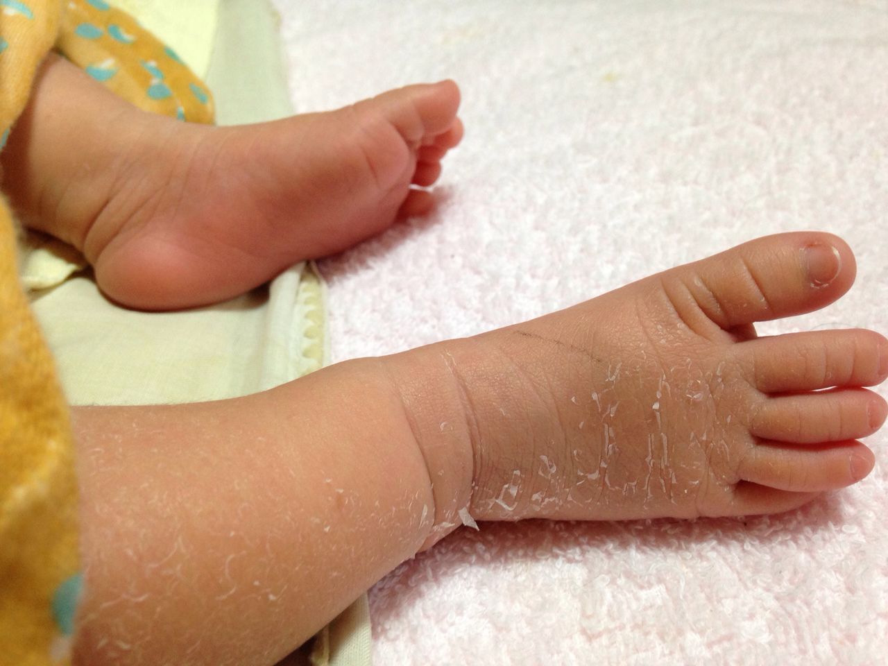 生後3週間 にゃにゅにょ