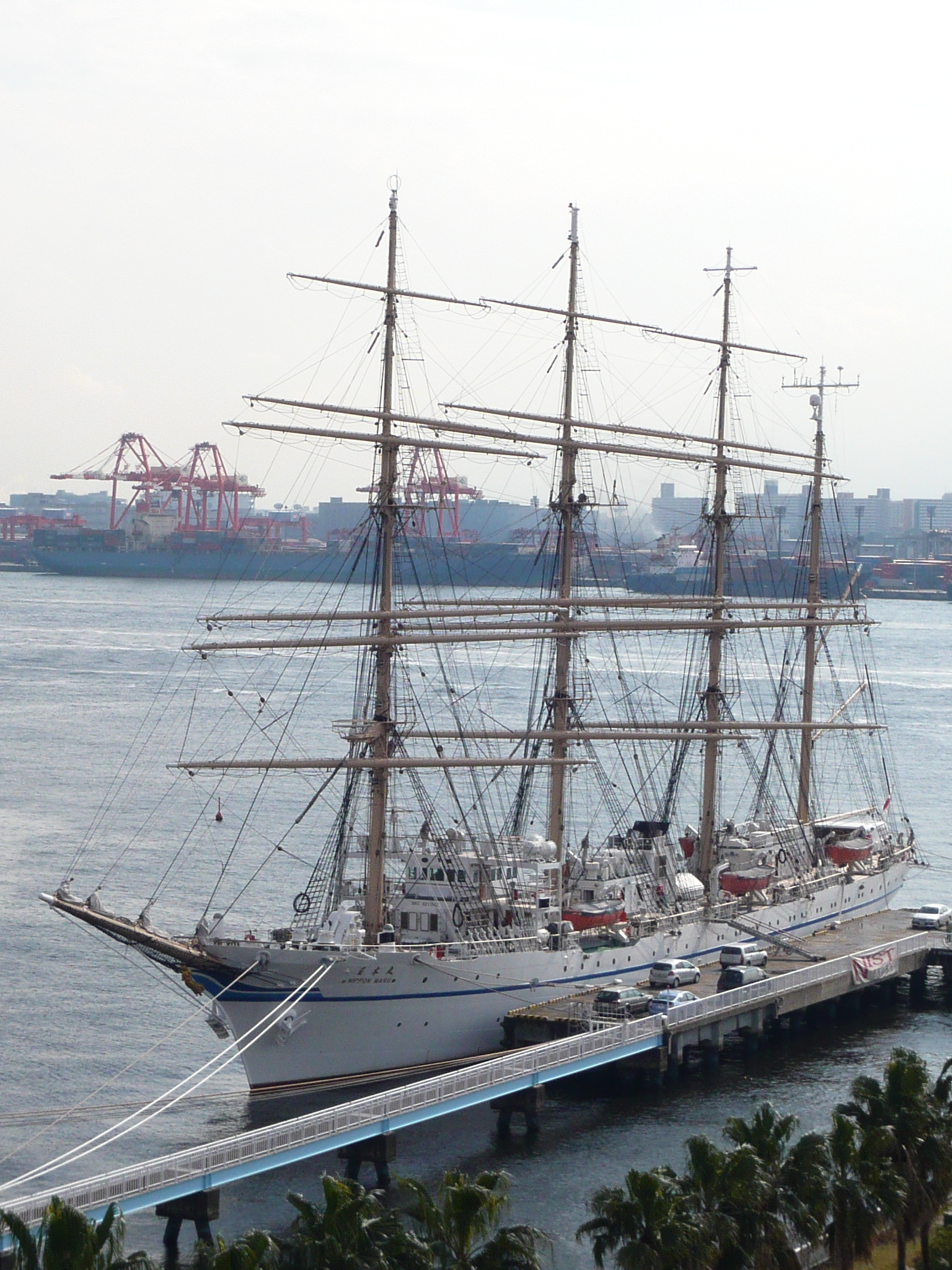 真菌血症には専用血液培養ボトルがあります 感染症の病理学的考え方