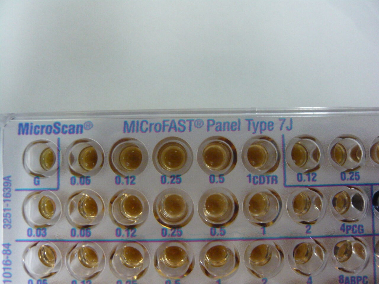 PCG MIC ����ˡ