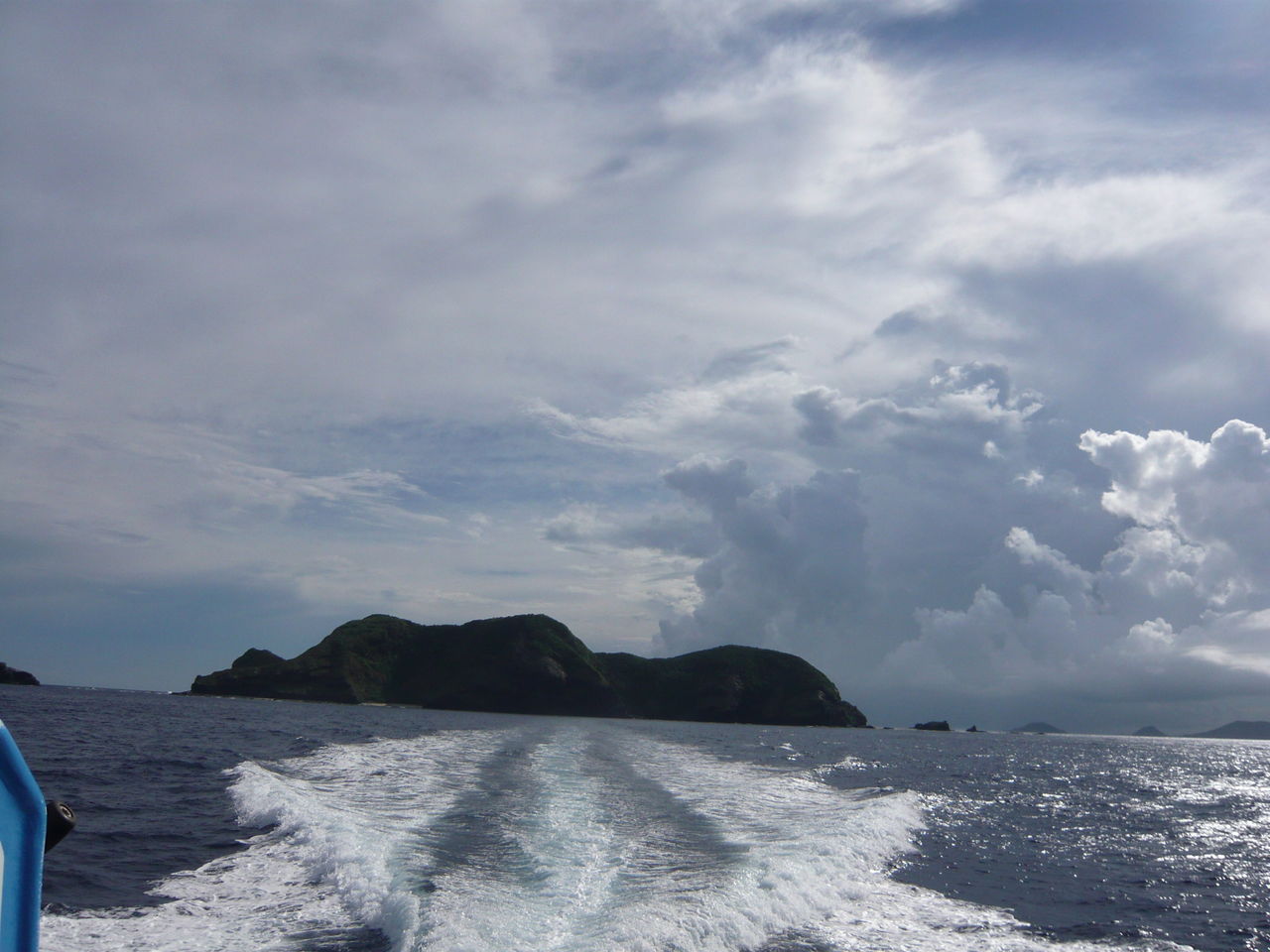 サナダムシの名前は真田紐に由来 感染症の病理学的考え方