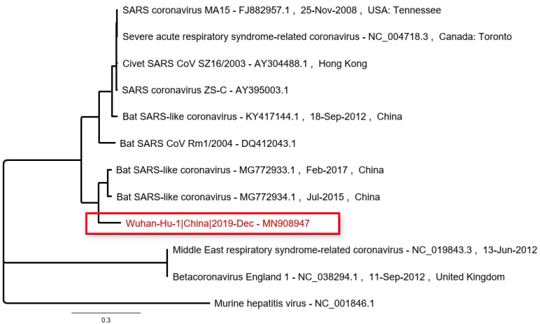 wuhan-human-1_posterior-output2