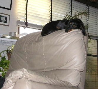 こんな所で・・・