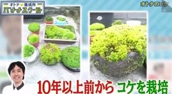 20170504_tanakatakushi_111
