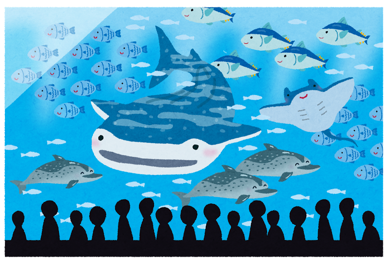 日本三大水族館 海遊館 美ら海水族館 ろいアンテナ