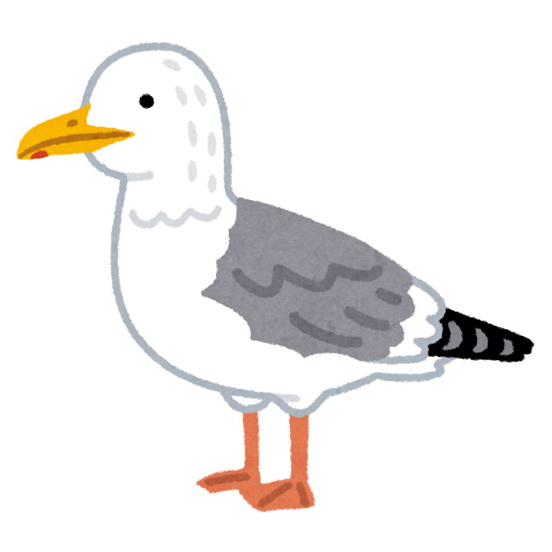 Newsplus 悲報 鳥 ウニを丸呑みにしてしまう