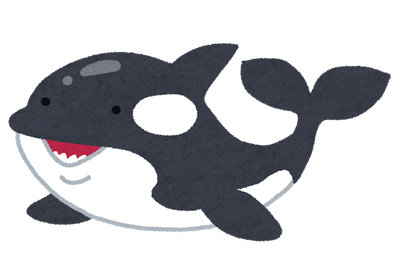 animal_shachi_killer_whale