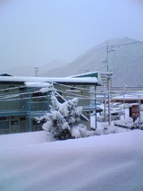 831043c0.jpg